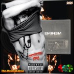 Eminem, Kim | Controversial Songs