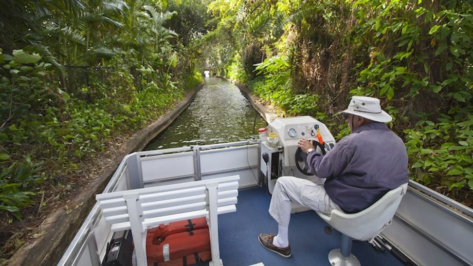 boat-tour-orlando