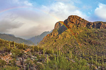 Tucson, Ariz.